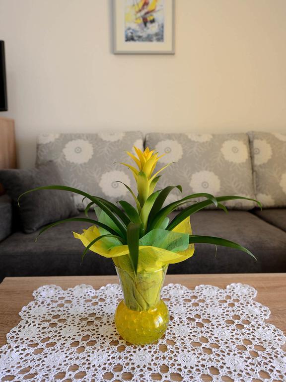 Apartman Adriana Zadar Zewnętrze zdjęcie